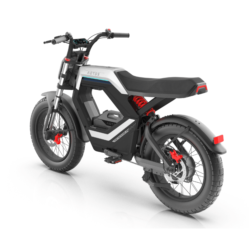 AOTOS FLUX X26  Series eBike